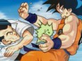 Dragon Ball - Fierce Fighting